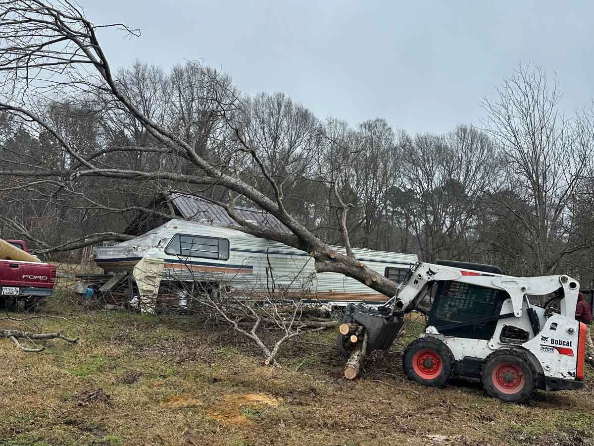 El Costeño Tree Service LLC